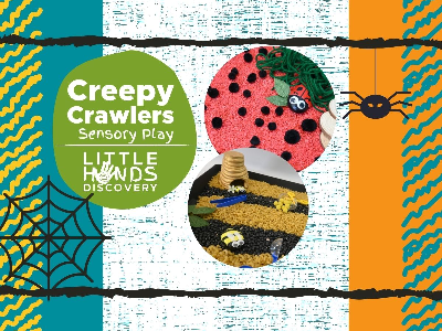 Creepy Crawlies Sensory Play Workshop (18 Months-6 Years)